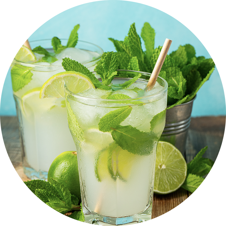 Spring Mocktail: Morning Routine Lemon Mojito