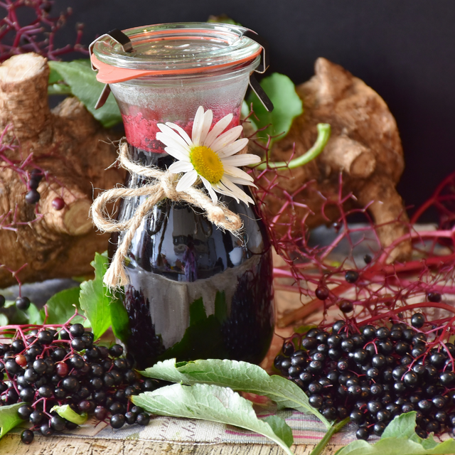 How Elderberry Can Transform Your Health